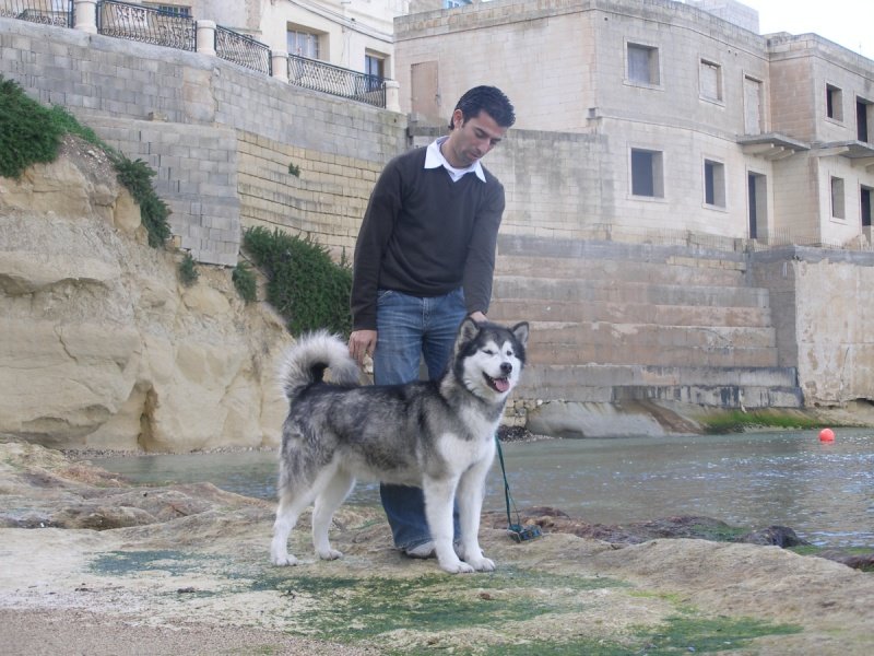 25.01.2009 another picture from Malta with Ivan Celleja