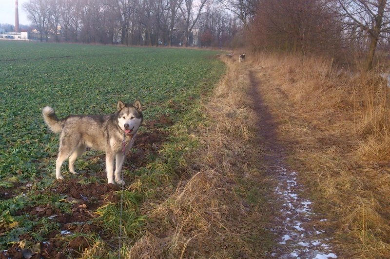 08.02.2013 during our walking ;-)