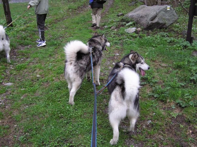 02.05.2004 Annie & Jessie mountain hiking